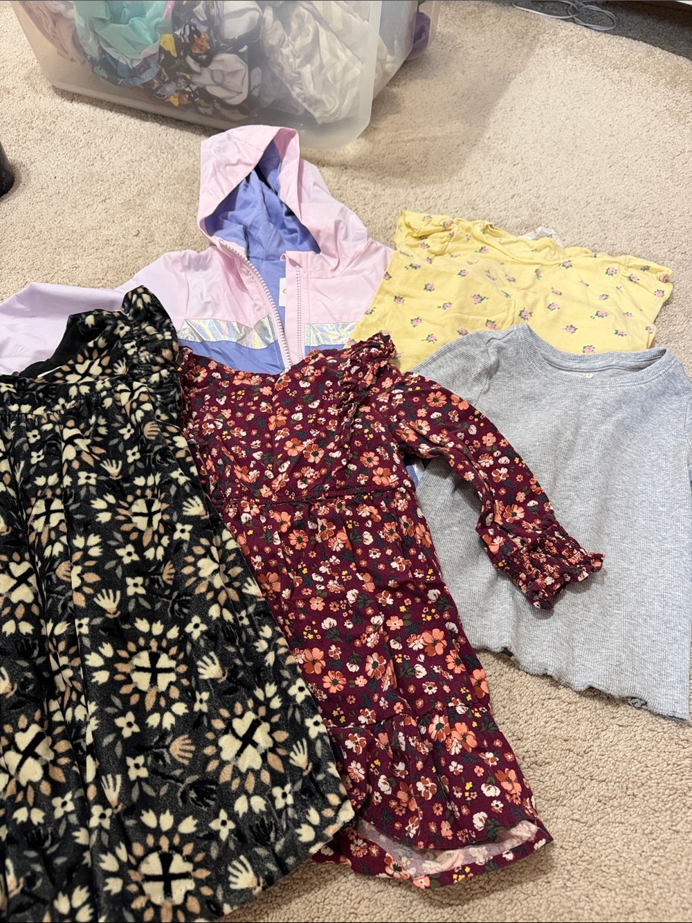 Girls' 2T clothing bundle